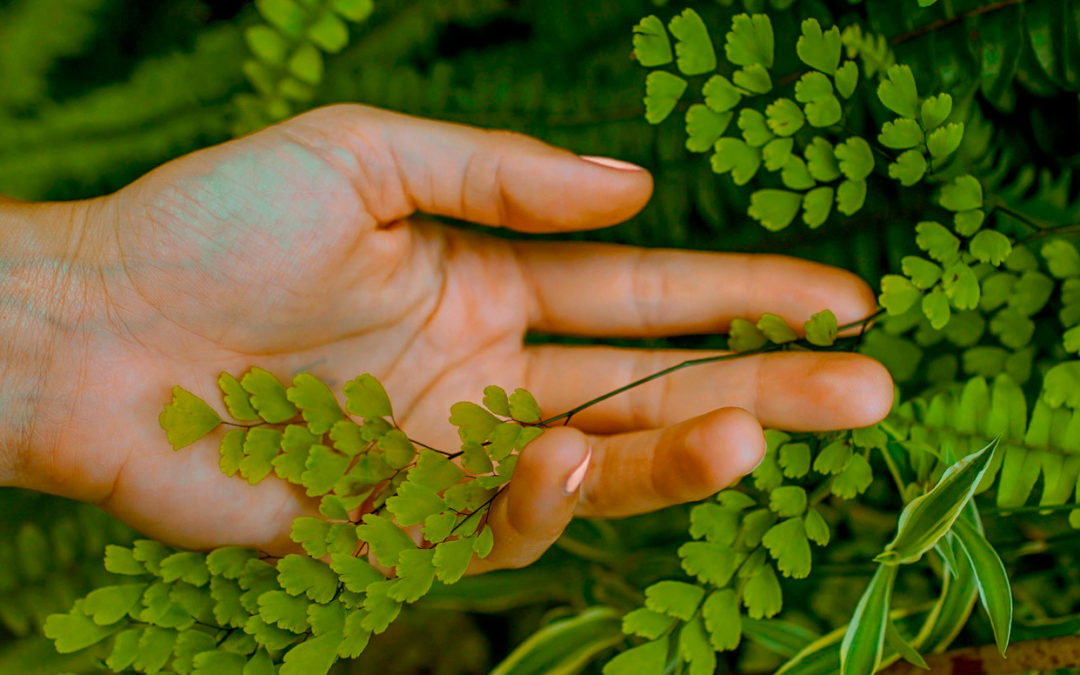 Douleurs articulaires, la solution naturopathie