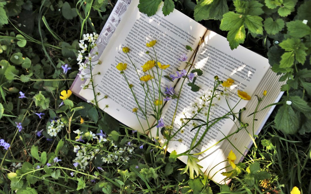 Naturopathe, un métier d’avenir