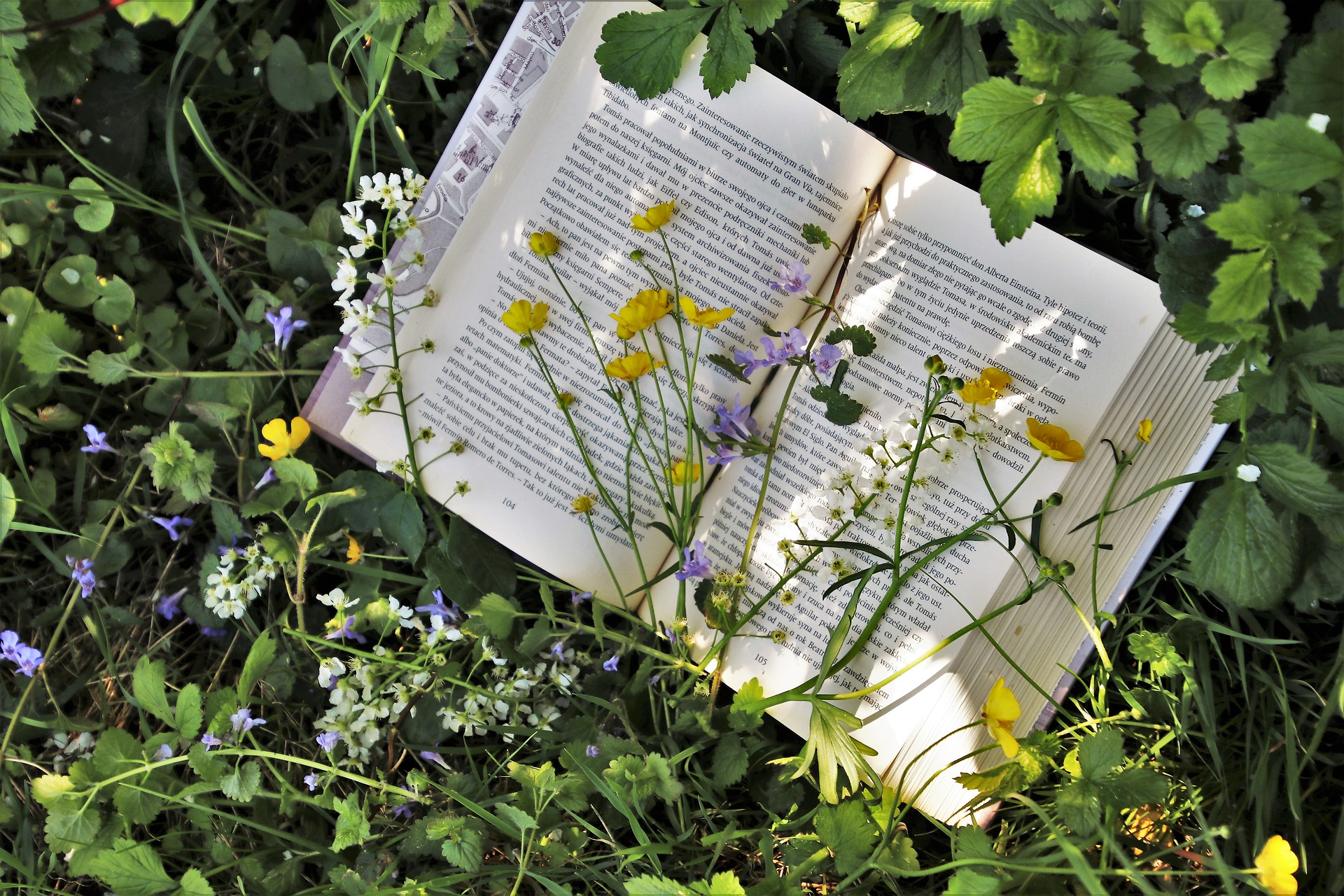 reading-3355230_1920