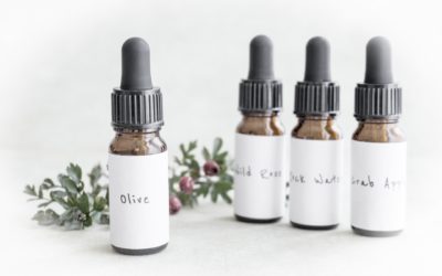 L’accompagnement au changement avec les fleurs de Bach